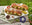 Pep up your picnic with Snowdonia Cheese recipes