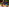 Thumbnail for Decadent Cheese Hamper