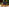 Thumbnail for Quintessential Cheese Hamper