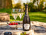Cheese, Chutney & Prosecco Picnic Cool Bag