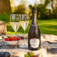 Cheese, Chutney & Prosecco Picnic Cool Bag