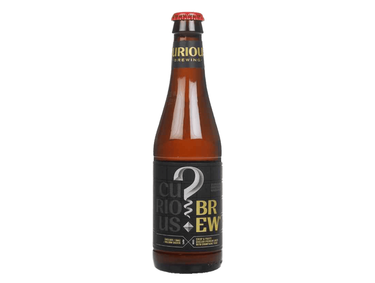 Curious Brew Lager