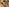 Thumbnail for Flavoured Cheese Selection